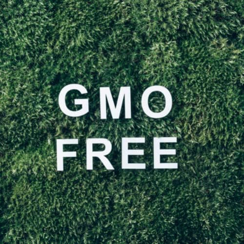רגעים מיסטיים | שמן אתרי קלמנטיין 1 קג - שמן טהור וטבעי למפזרים, ארומתרפיה ועיסוי תערובות טבעוניות GMO בחינם